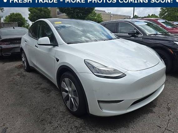 TESLA MODEL Y 2022 7SAYGAEE6NF516125 image